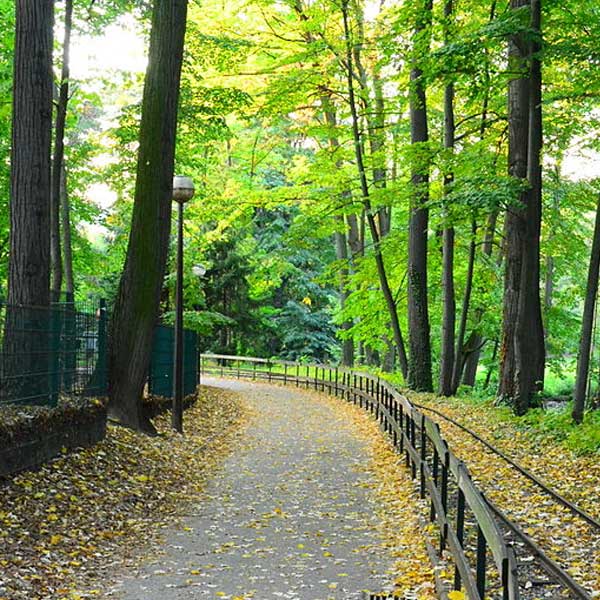 piste du bois au parc de la tête d'or